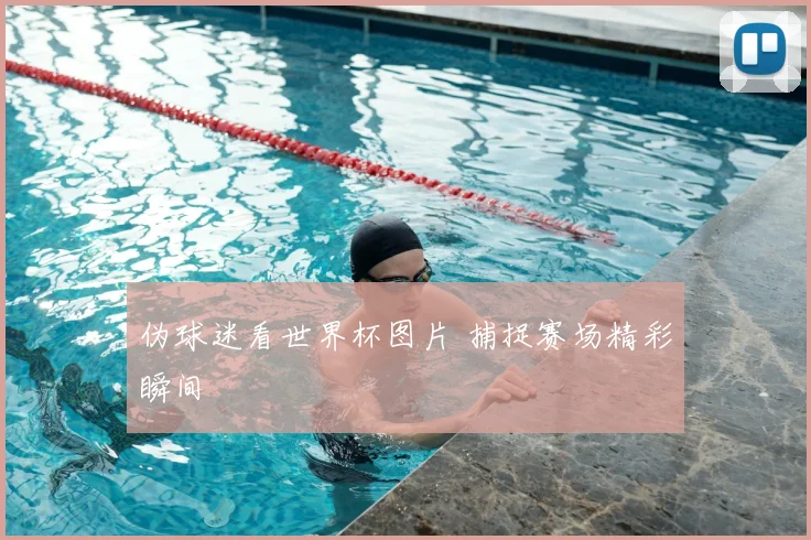 伪球迷看世界杯图片 捕捉赛场精彩瞬间