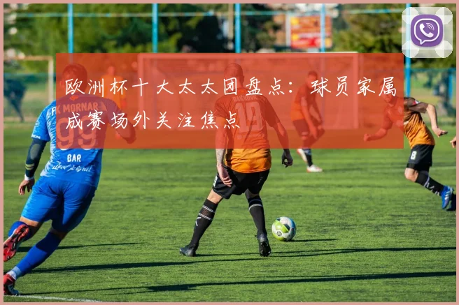欧洲杯十大太太团盘点:球员家属成赛场外关注焦点