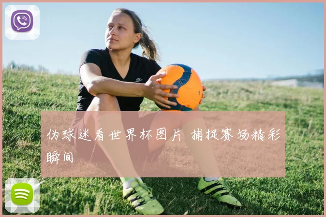 伪球迷看世界杯图片 捕捉赛场精彩瞬间