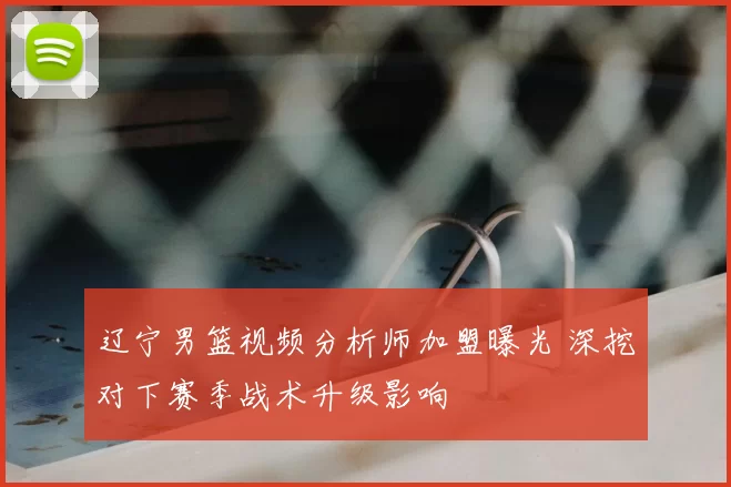 辽宁男篮视频分析师加盟曝光 深挖对下赛季战术升级影响