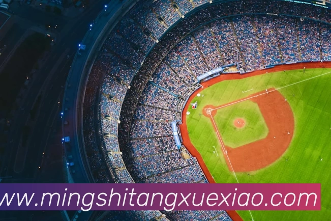 EMC易倍·(中国)体育官方网站平台发展历程